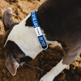 SBC Heavy Duty Dog Collar | Color: Blue