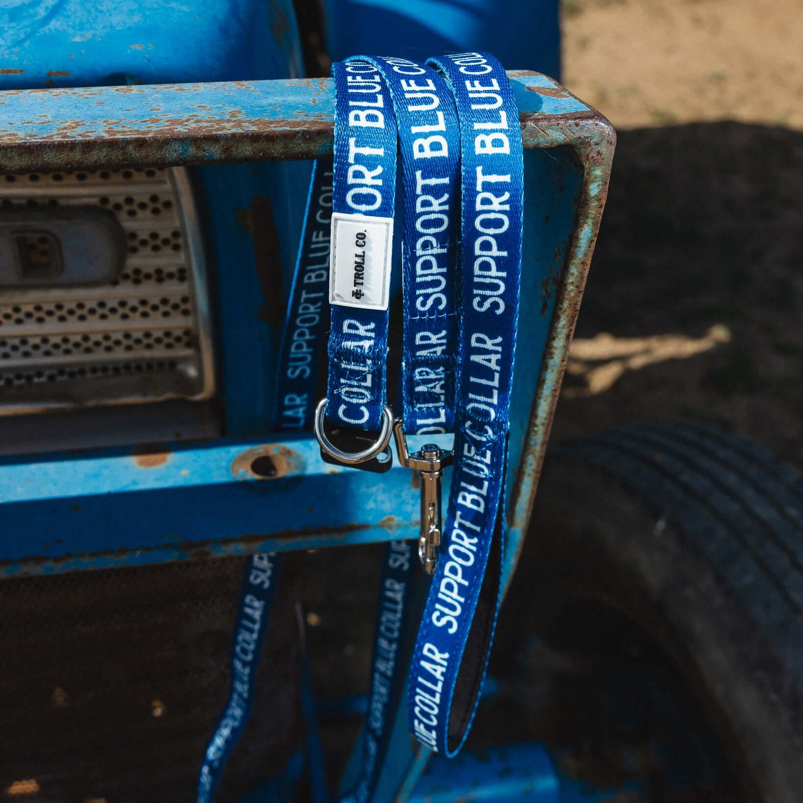 SBC Heavy Duty Dog Leash | Color: Blue