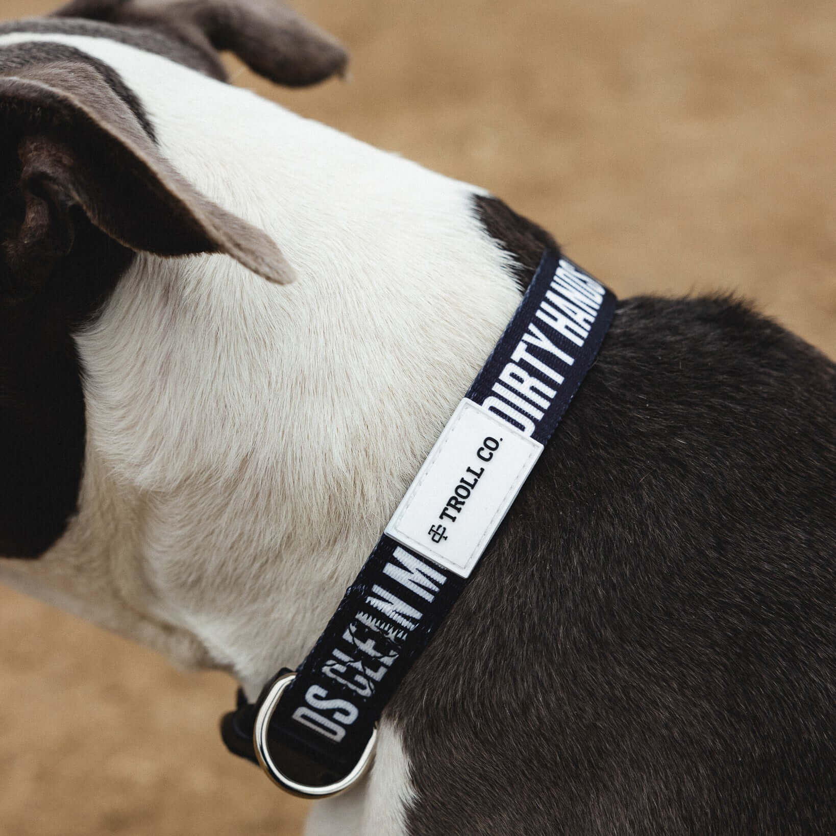 DHCM Heavy Duty Dog Collar | Color: Black