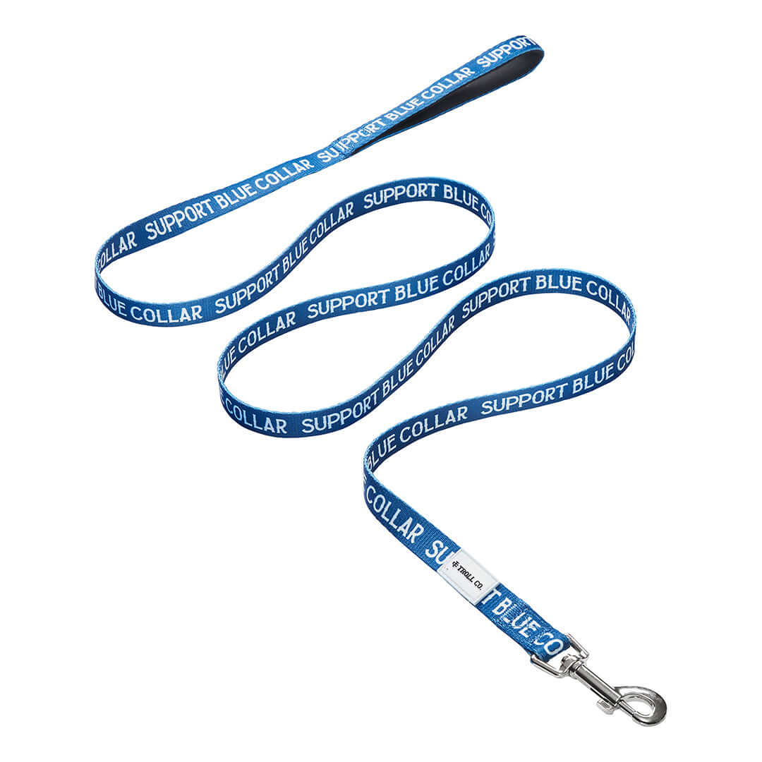 SBC Light Duty Dog Leash | Color: Blue
